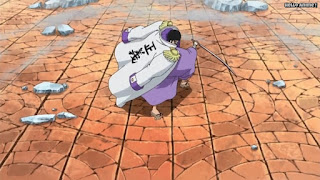 ワンピースアニメ ドレスローザ編 743話 海軍大将 藤虎 イッショウ Fujitora | ONE PIECE Episode 743