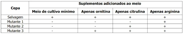 O quadro abaixo mostra os resultados obtidos pelos pesquisadores: o sinal "+" indica que houve crescimento da colônia de fungos, e o sinal "–" indica que não houve crescimento.