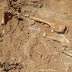  Λέσβος: Ανακαλύφθηκαν απολιθώματα ζώων ηλικίας 2.000.000 ετών