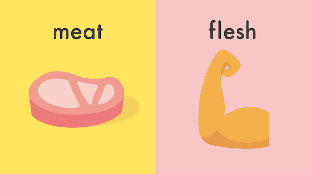 meat と flesh の違い