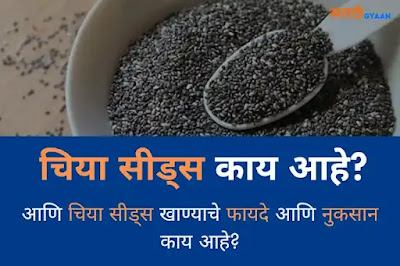 Chia Seeds Benefits in Marathi