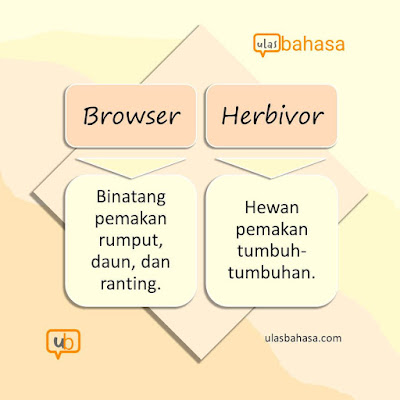 infografik kata tak terduga browser dan herbivor