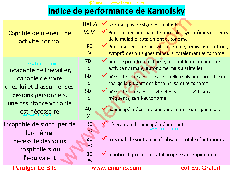 Indice de performance de Karnofsky