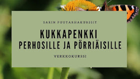 Kukkapenkki perhosille ja pörriäisille