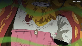 ワンピースアニメ ゾウ編 760話 ネコマムシ 左腕 | ONE PIECE Episode 760