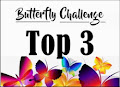 Top 3 at Butterfly Challenge!