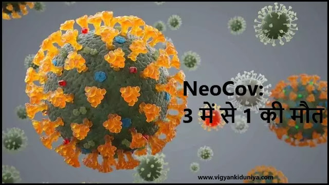 NeoCov: '3 में से 1 की मौत'