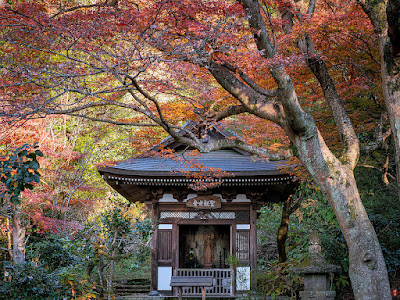 Autumn leaves in the garden of Obai-in (Engaku-ji)