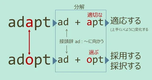 adapt, adept, adopt, スペルが似ている英単語