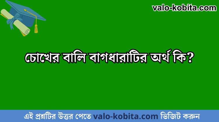 চোখের বালি বাগধারাটির অর্থ কি?
