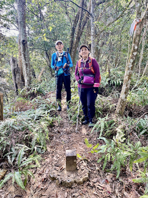 回抵我音山北北峰