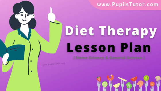 Diet Therapy Lesson Plan For B.Ed, DE.L.ED, M.Ed 1st 2nd Year And Class 8th, 9th Home Science Teacher Free Download PDF On Mega Teaching Skill In English Medium. - www.pupilstutor.com