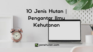 10 Jenis Hutan | Pengantar Ilmu Kehutanan