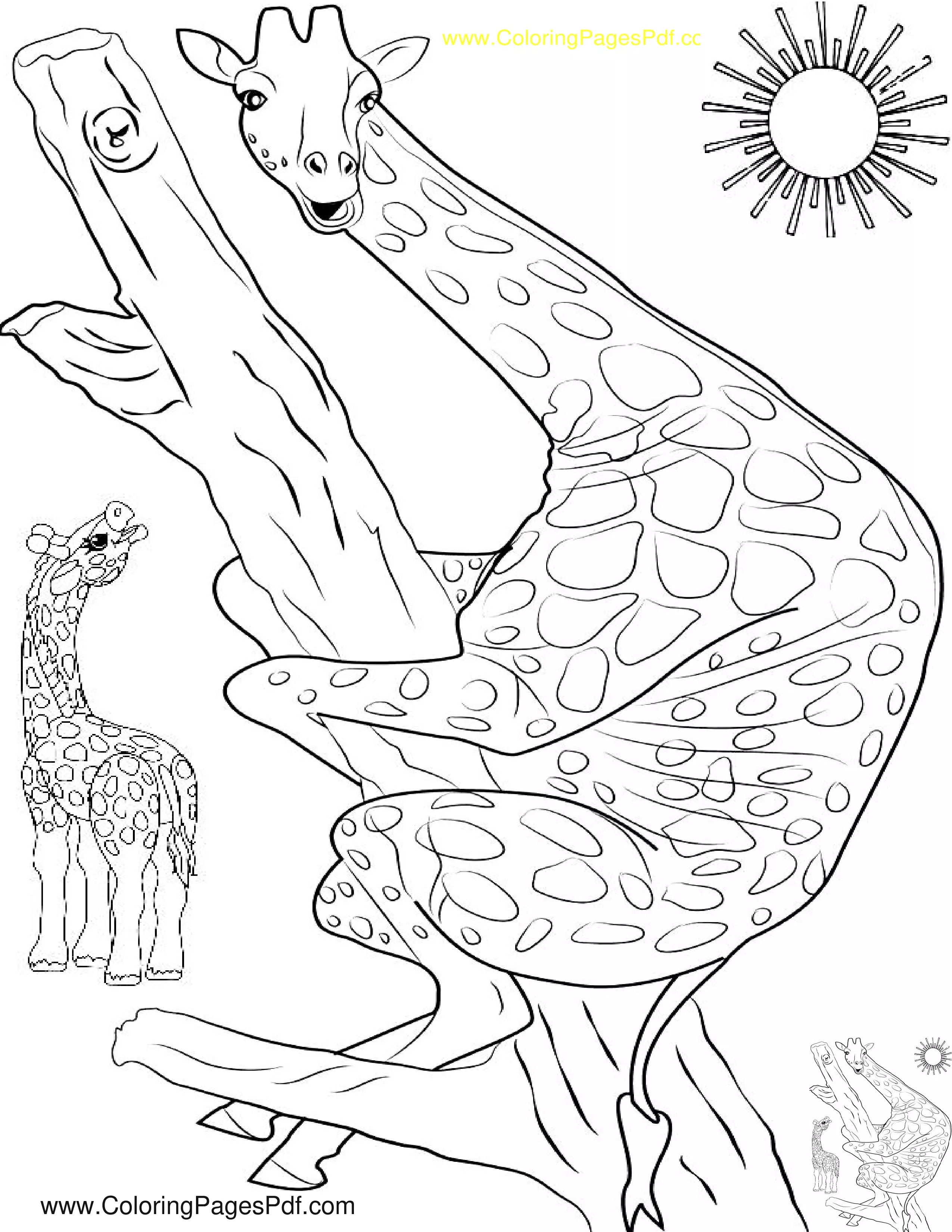 Cute giraffe coloring pages