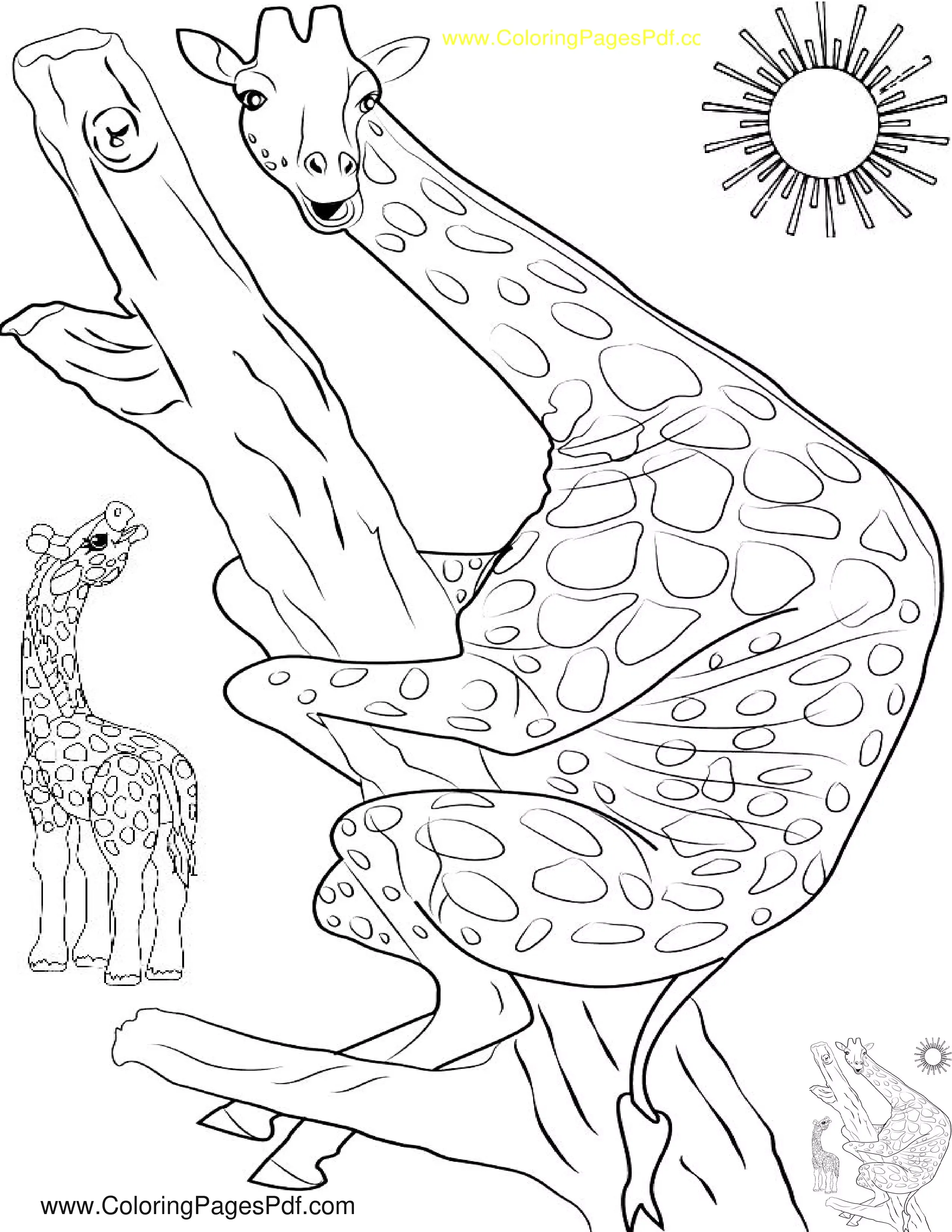 Cute giraffe coloring pages