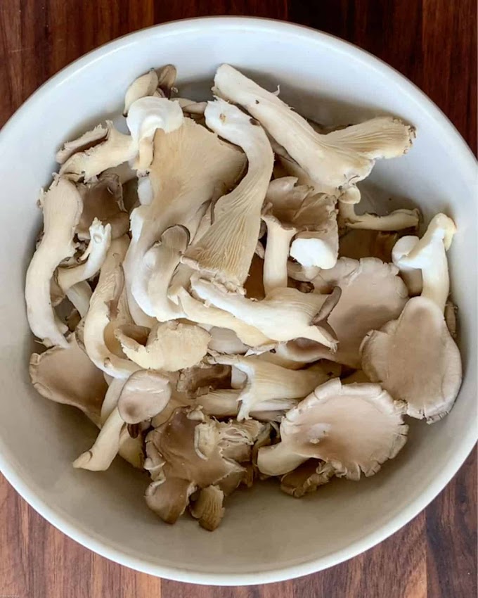 Oyster mushroom cultivation pdf India | Mushroom farming | Biobritte mushrooms