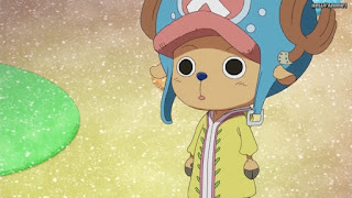 ワンピースアニメ WCI編 794話 チョッパー | ONE PIECE Episode 794