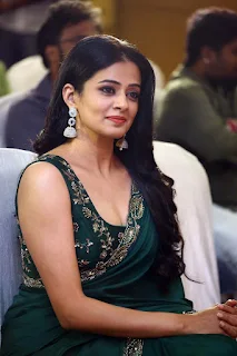 Actress Priyamani at Bhama Kalapam Success Meet
