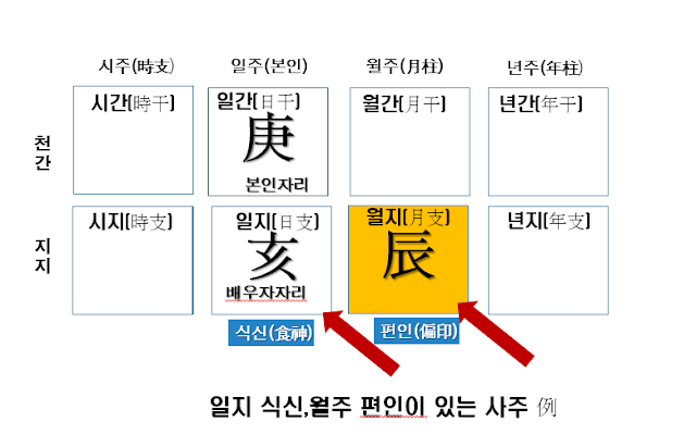 일지 식신 월지 편인의 사주