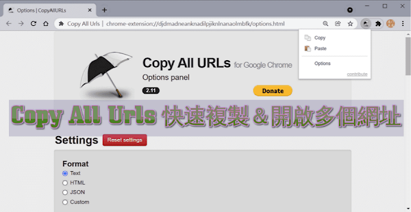 Copy All Urls 擴充功能介紹與使用說明，快速複製＆開啟多個網址