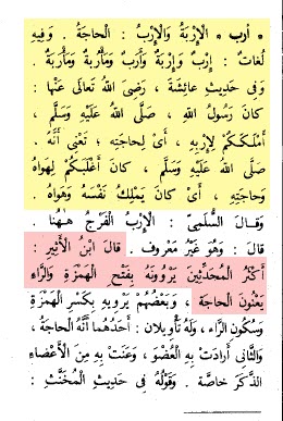 الرد على "أيكم يملك إربه كما كان النبي ؟"