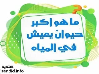 ماهو أكبر حيوان يعيش في المياة( البحار والمحيطات) مكون من 5 حروف , ماهو اكبر حيوان يعيش في المياه البحار والمحيطات من 5 حروف ,