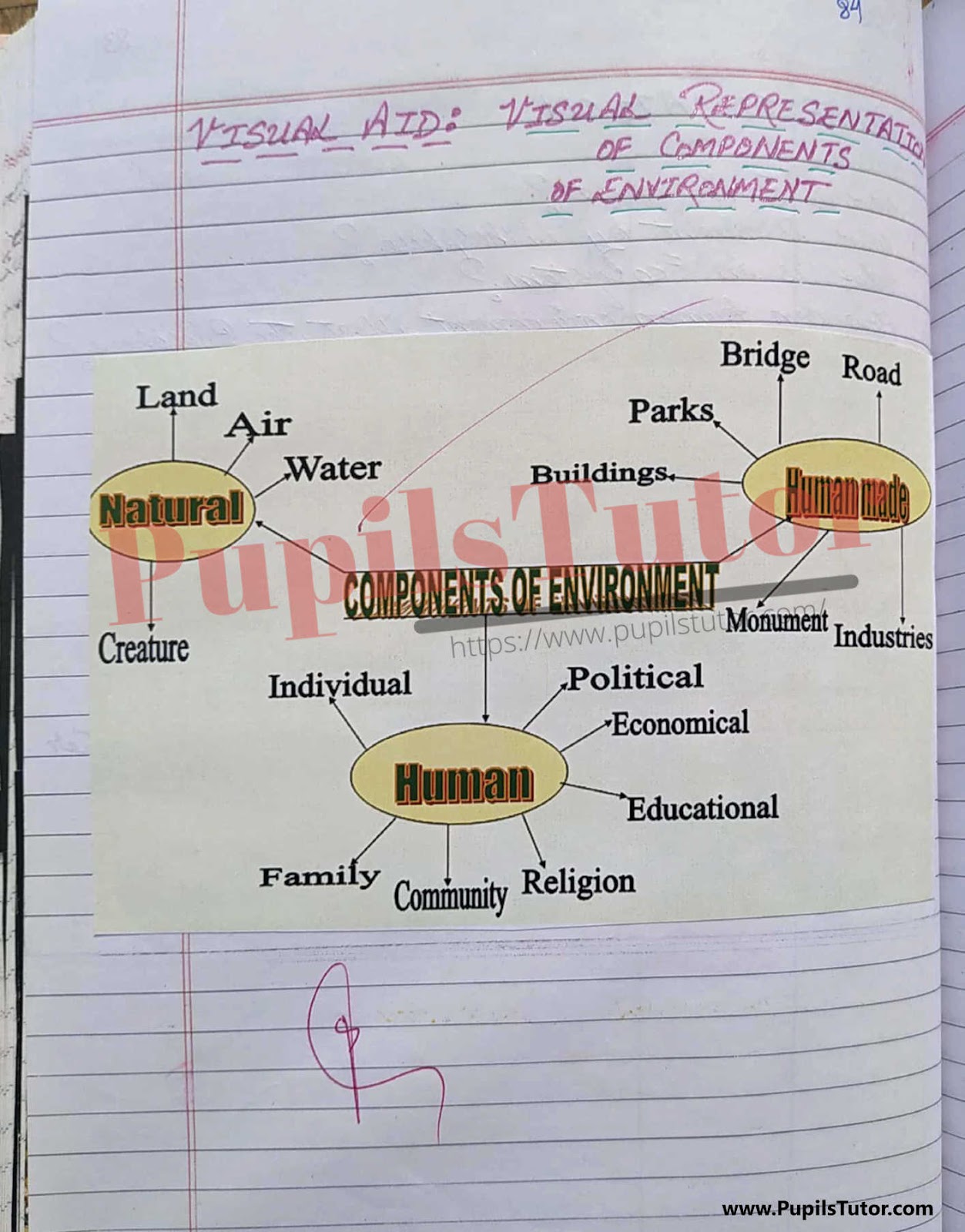 Geography Ecosystem Lesson Plan For Deled – [Page And Image Number 8] – pupilstutor