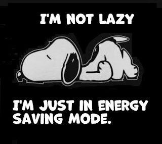 I'm not lazy, I'm just in energy saving mode.