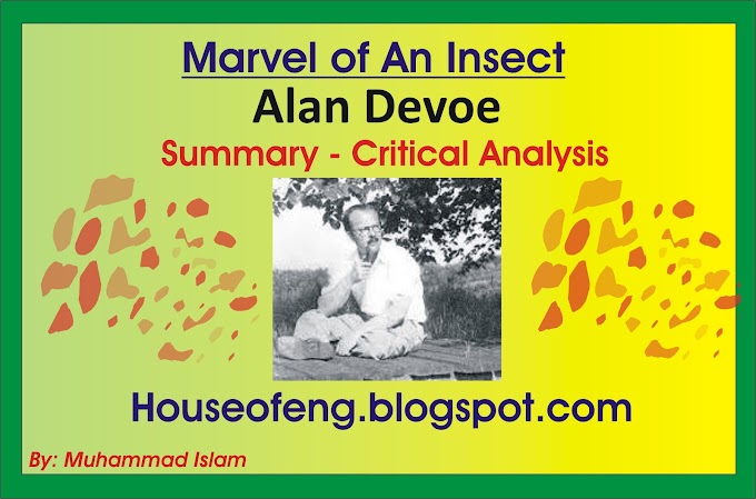 Marvel of an Insect by Alan Devoe (Critical Summary, Analysis)