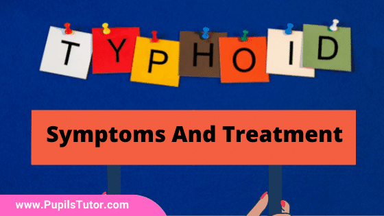 What Causes Typhoid? | 9 Major Signs And Symptoms Of Typhoid | How Is Typhoid Transmitted – Causes, Precautions, Treatment And Prevention Of Typhoid - www.pupilstutor.com