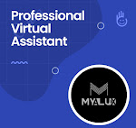 Virtual Assistance
