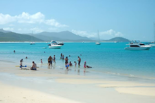 Among the most beautiful beaches in the world is the Whitehaven Beach.