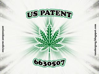 US Patent for weed meme