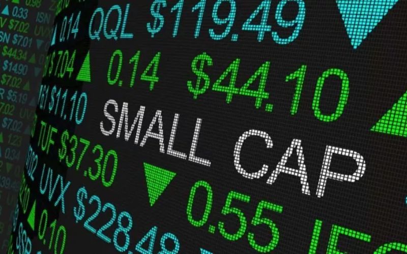 Cổ phiếu Small cap là gì? Có rủi ro khi đầu tư?