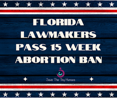 Florida 15 Week Abortion Ban, Florida 15 Week Abortion Bill, Abortion Bill, Abortion Ban, Florida Abortion Bill, Florida Abortion Ban, Abortion, Abortion Bill, Abortion Ban, Pro-Life, Prolife, Choose Life