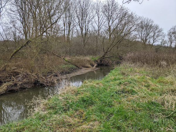 The River Roding, at the boundary of the route