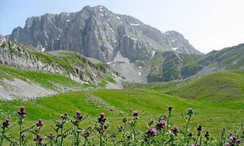 Η φυσική ομορφιά και η άγρια ζωή της Ελλάδας, αποκαλύπτονται στο νέο επεισόδιο της σειράς-ντοκιμαντέρ «Κρυμμένα Θαύματα της Ευρώπης», που θα προβληθεί την Κυριακή 23 Ιανουαρίου στις 19.00, στο National Geographic WILD. Το National Geographic WILD είναι διαθέσιμο στην Ελλάδα μέσω CosmoteTV, Nova, VodafoneTV, WindVision.