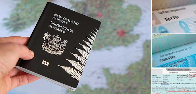 Unlocking Opportunities A Guide to the New Zealand Employment Visa
