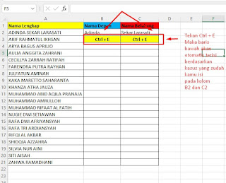 Fungsi Flash Fill Excel