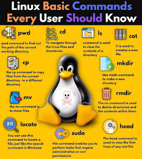 Linux Basic Commands Every User Should Know