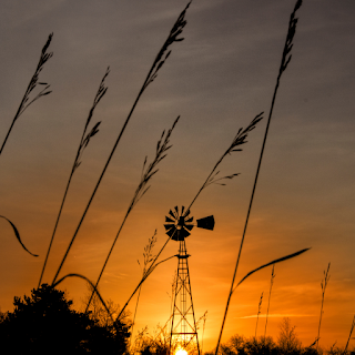 A windmill in a field at sunset