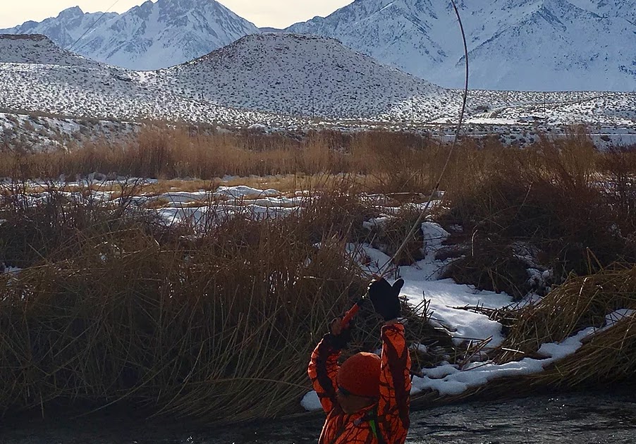 Teton Tenkara: Tenkara Tanuki Shinobi 395 (carbon handle) rod review