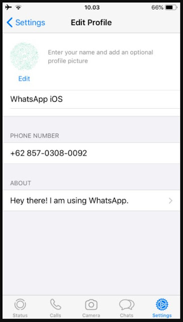 tampilan aplikasi WhatsApp iOS Mod Sebuahutas