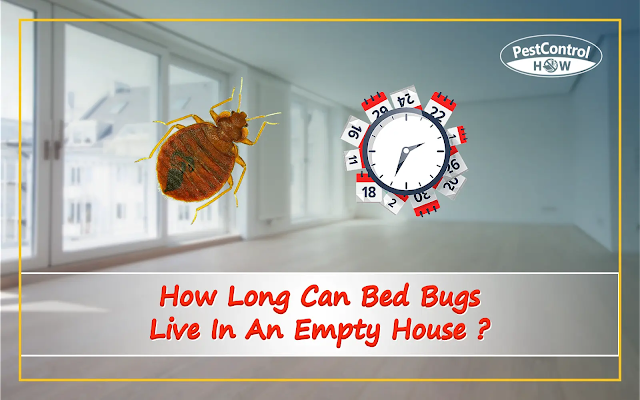 how-long-can-bed-bugs-live-in-an-empty-house