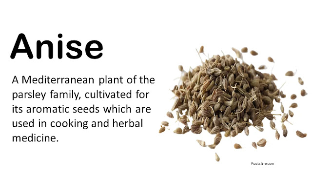 Herbs and Spices Vocabulary
