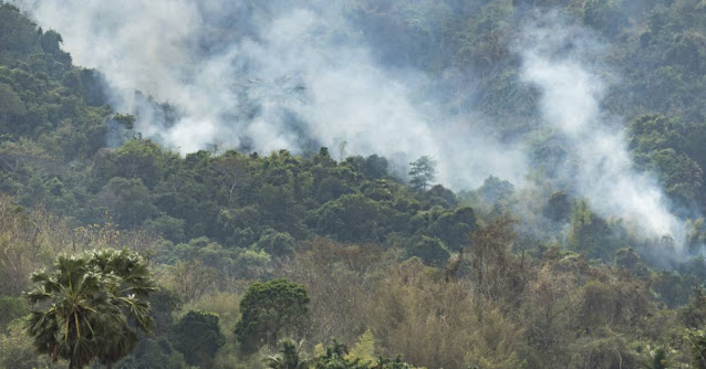 CURIOSIDADES: Así destruye el humo de los incendios la capa de Ozono.