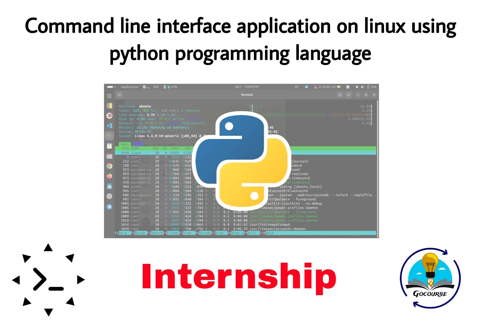 Python CLI Application on Linux