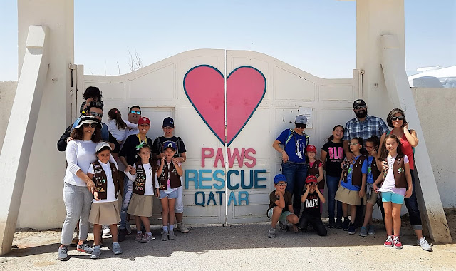 Paws Rescue Qatar