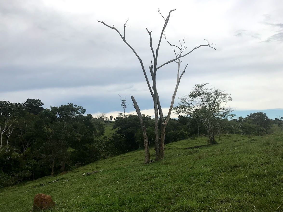 Colorado do Oeste | Zona Rural