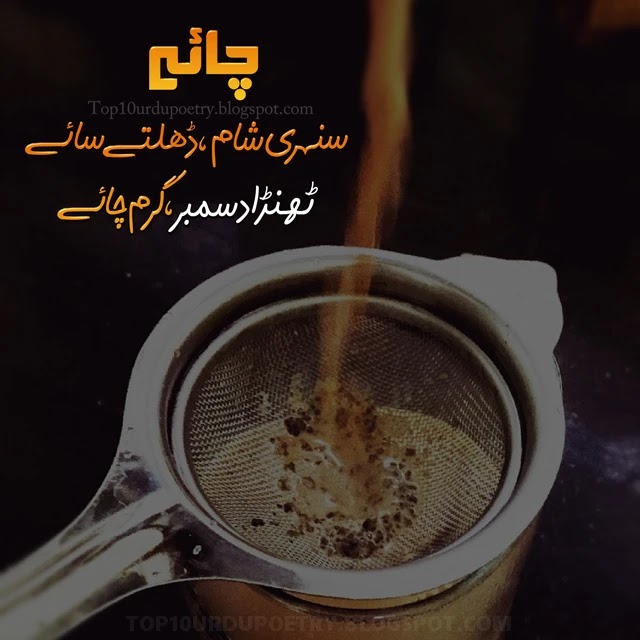 Chia Poetry in Urdu -Tea Cup Picture Poetry